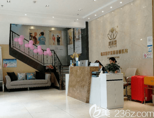 北京碧莲盛前台 北京碧莲盛前台