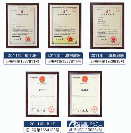 北京碧莲盛证书