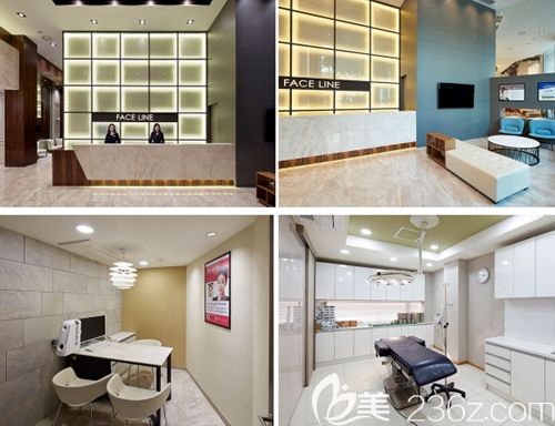 韩国FACE-LINE(菲斯莱茵)整形外科 韩国FACE-LINE(菲斯莱茵)整形外科