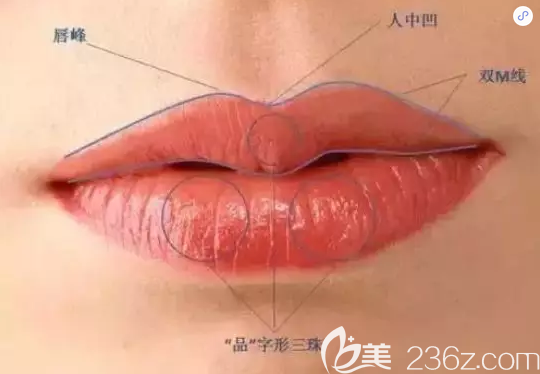 韩国爱慕李炫直讲什么是标准m唇