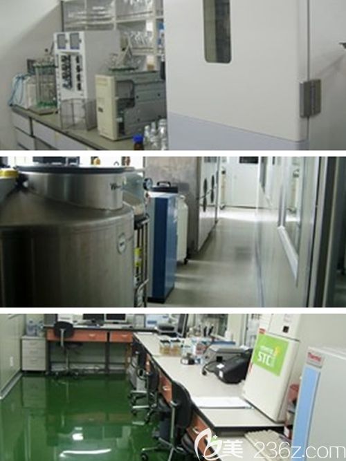 韩国STC研究 韩国STC研究