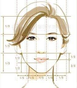 面部美学的三庭五眼