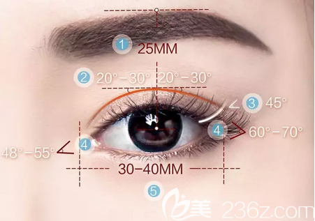 南充阿蓝整形医院眼部整形美学标准