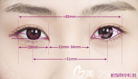 南充华美名媛整形美容医院眼部美学标准