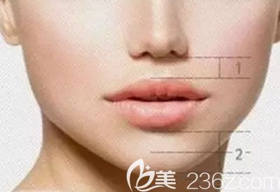 韩国AD爱慕分析什么样的人中比例好看