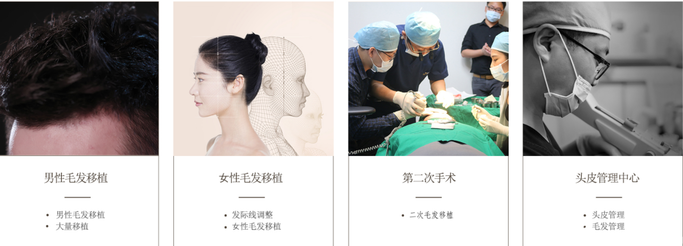 开设项目 开设项目