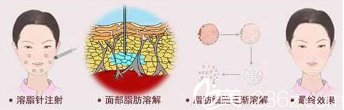 20190328_1553766063657569.png image.png