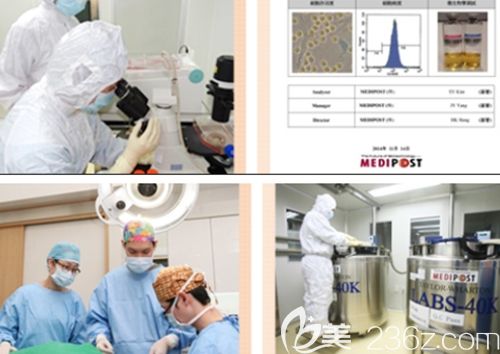 韩国麦恩整形医院研究中心