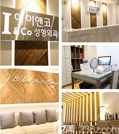 韩国ICo整形外科 韩国ICo整形外科