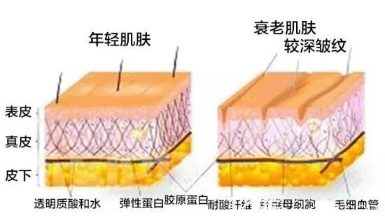 医院分析皮肤抗衰老的情况 医院分析皮肤抗衰老的情况