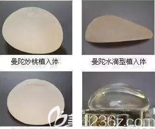 曼托假体形态示意图