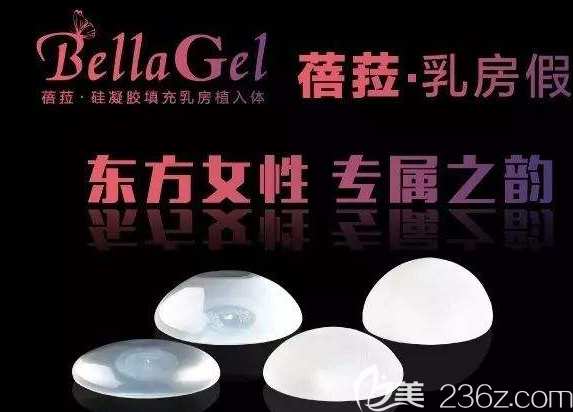 蓓菈假体形状示意图