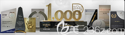 韩国verni获得部分荣誉奖章 韩国verni获得部分荣誉奖章