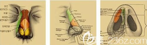 <!--<i data=20240703-sp></li>
<li><i data=20240703-sp></i>-->美莱爱贝芙隆鼻能够持续多久呢?