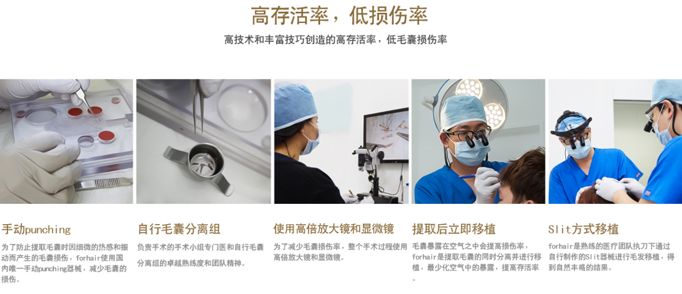 韩国forhair植发医院头发种植过程 韩国forhair植发医院头发种植过程