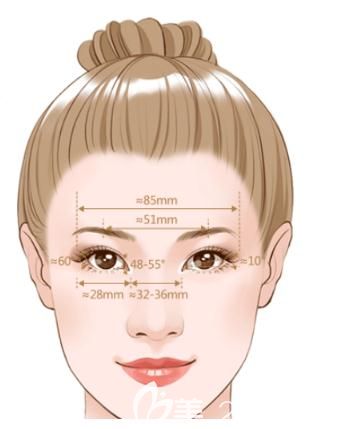 双眼皮眼部美学新标准