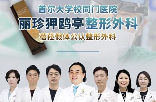 韩国丽珍整形外科医生团