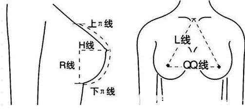 韩国狎鸥亭feel整形外科美胸标准 韩国狎鸥亭feel整形外科美胸标准