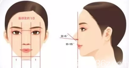 好看鼻子的美学 好看鼻子的美学