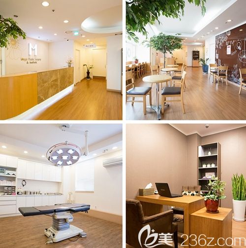 韩国Mega整形医院外科 韩国Mega整形医院外科
