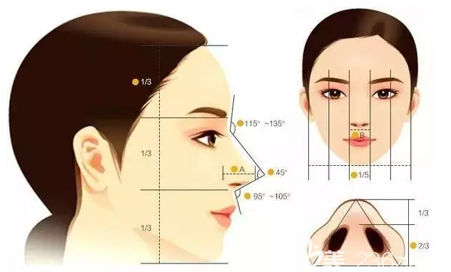 韩国BDMI整形医院隆鼻手术美学 韩国BDMI整形医院隆鼻手术美学