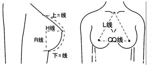 隆胸手术美学标准 隆胸手术美学标准