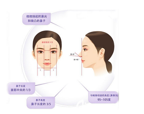 面部美学标准 面部美学标准