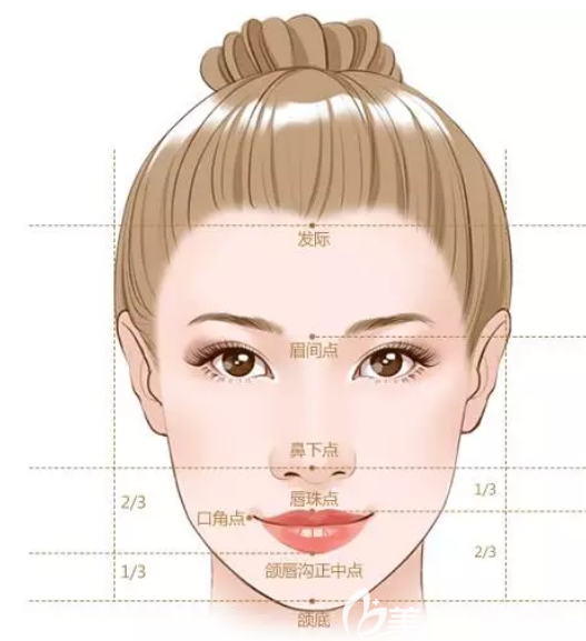 面部轮廓整形美学标准