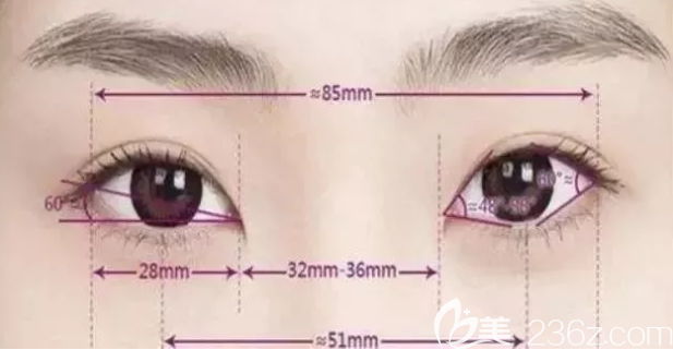 眼睛美学标准 眼睛美学标准