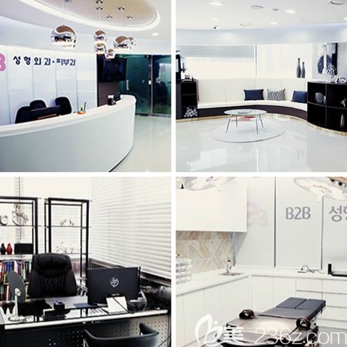 韩国B2B整形医院 韩国B2B整形医院