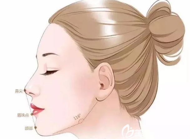 韩国鼻部整形美学