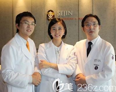 韩国Sejin整形部分医生团队