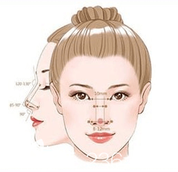 美鼻标准示意图
