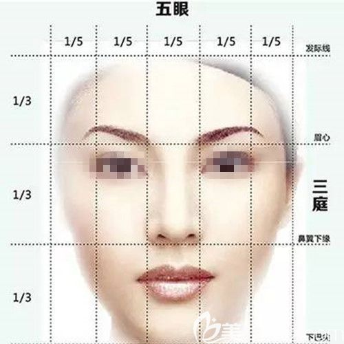 三庭五眼美学标准