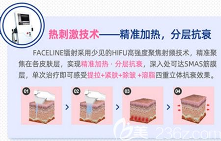 韩国菲斯莱茵分层抗衰