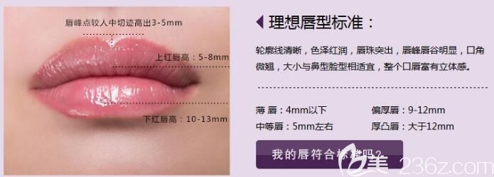 南京韩辰医生分享唇部的美学标准