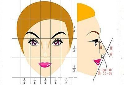 假体隆鼻标准图