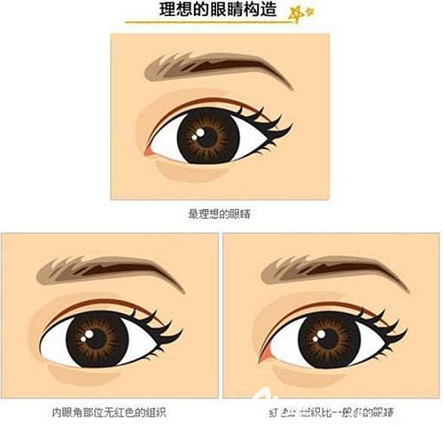 韩国清潭first眼修复美学