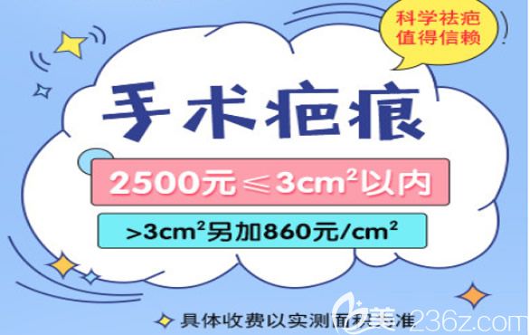 疤痕修复多少钱