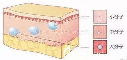 中分子和小分子玻尿酸区别