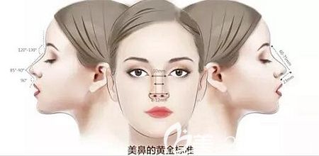 鼻部整形形态的黄金比例