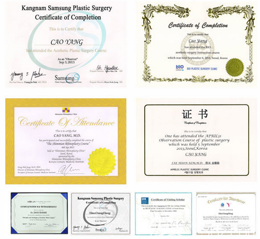 曹阳院长所获部分荣誉证明