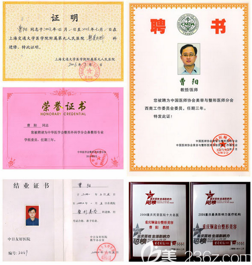 曹阳院长部分荣誉证书