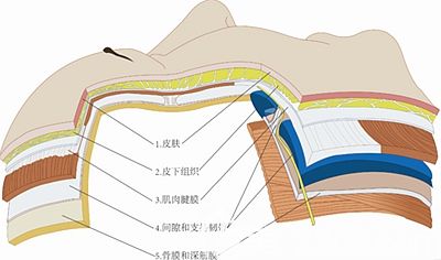 面部皮肤的多层次解析
