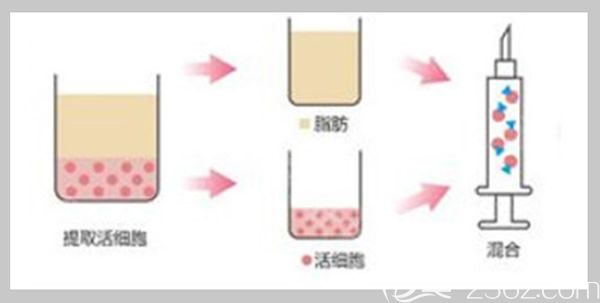 离心活化细胞操作流程