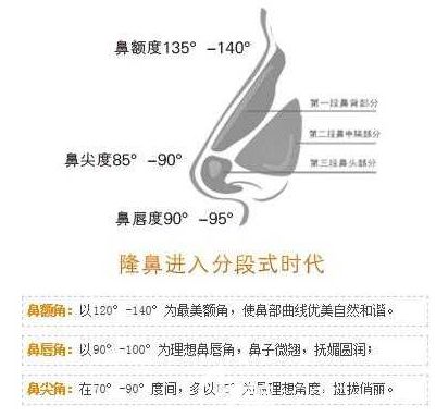 鼻部整形标准 鼻部整形标准