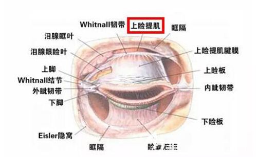 QQ截图20191212143309.jpg