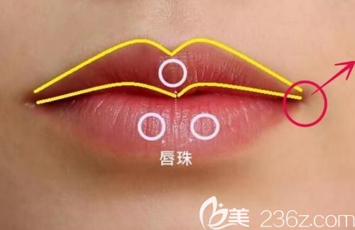 M唇的样子 M唇的样子