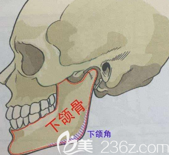 做下颌角手术时不容易出血反而术后前三天可能会渗出一点点血