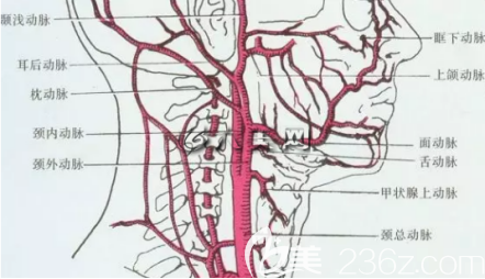 做下颌角手术时不容易出血反而术后前三天可能会渗出一点点血